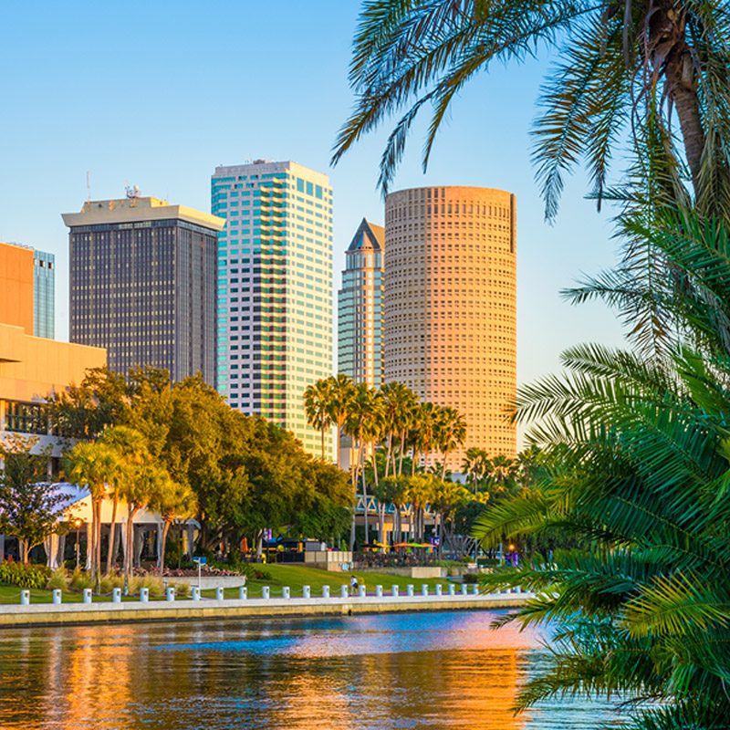 tampa bay florida downtown skyline view